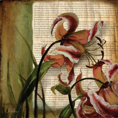 Vintage Studio II by Patricia Pinto canvas print