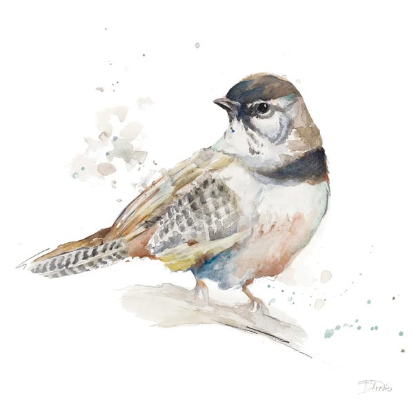 Watercolor Mountain Bird III