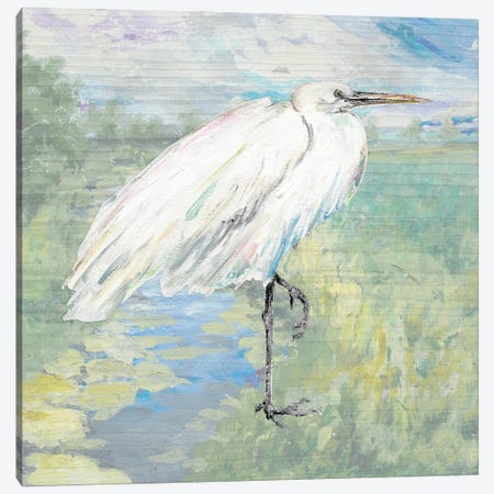 Wild Egret Canvas Print #PPI933} by Patricia Pinto Canvas Art