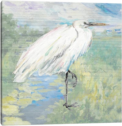 Wild Egret Canvas Art Print - Egret Art