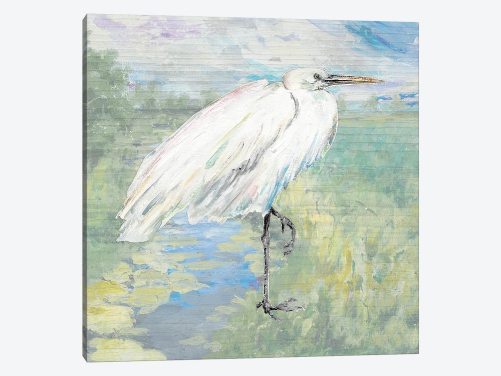 Wild Egret by Patricia Pinto 1-piece Canvas Print