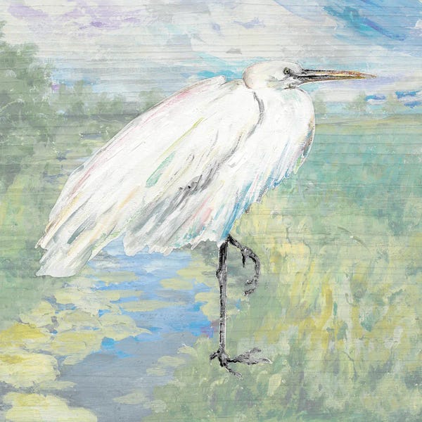 Patricia Pinto: Wild Egret by Patricia Pinto
