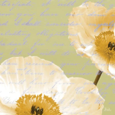 Written In The Wind I by Patricia Pinto canvas print