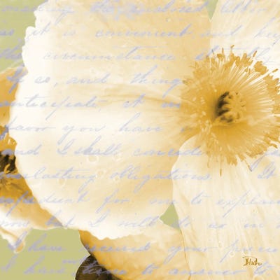 Written In The Wind II by Patricia Pinto canvas print