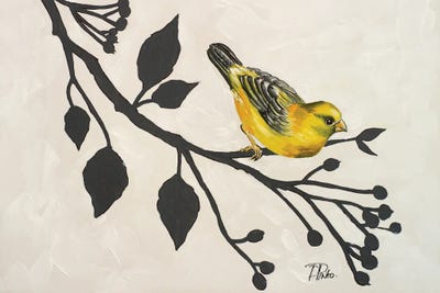 Yellow Bird On Branch I by Patricia Pinto framed wall art