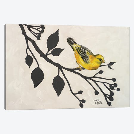 Yellow Bird On Branch I Canvas Print #PPI938} by Patricia Pinto Canvas Artwork