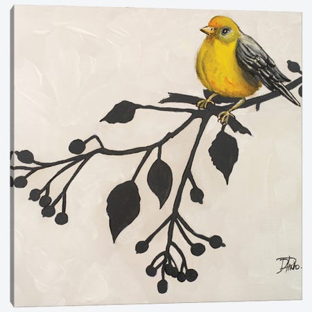 Yellow Bird On Branch II Canvas Print #PPI939} by Patricia Pinto Canvas Wall Art