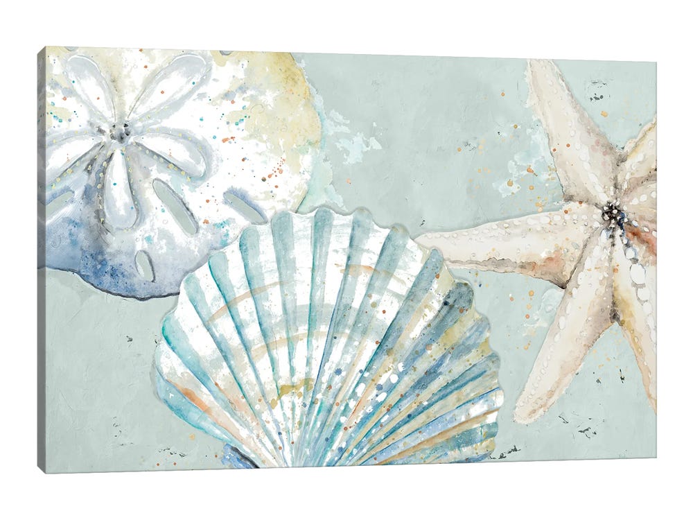 Seashore Starfish and Seashell Framed Wooden Coastal Wall Art Set