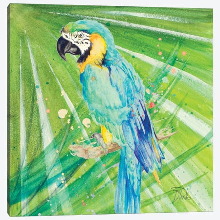 Colorful Parrot Canvas Print #PPI94} by Patricia Pinto Art Print
