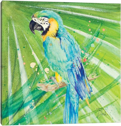 Colorful Parrot Canvas Art Print - Blue Tropics