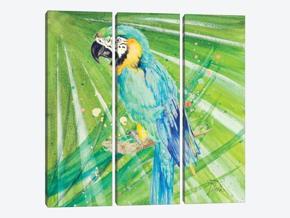Colorful Parrot by Patricia Pinto 3-piece Canvas Print