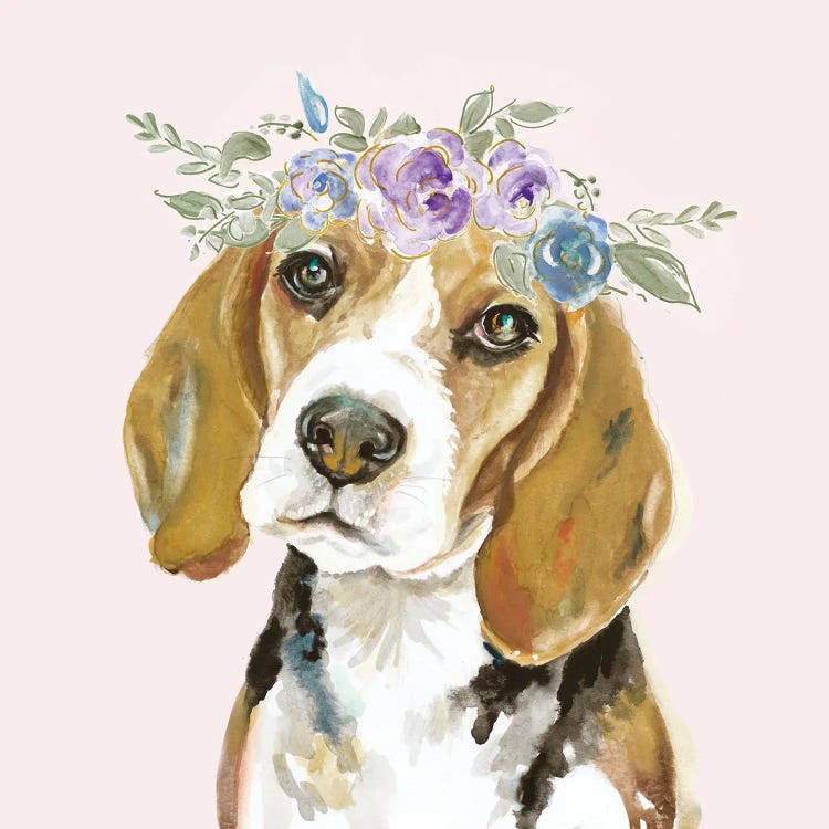 Flower Crown Pet I