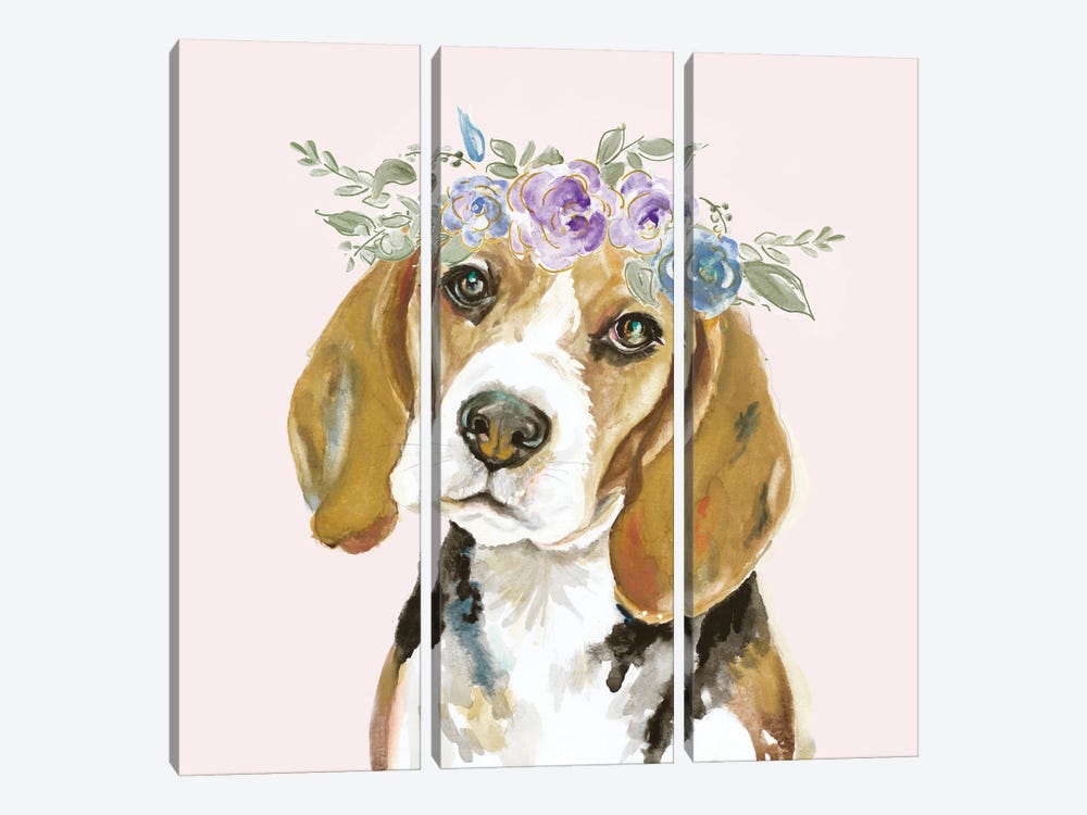 Flower Crown Pet I by Patricia Pinto 3-piece Canvas Art