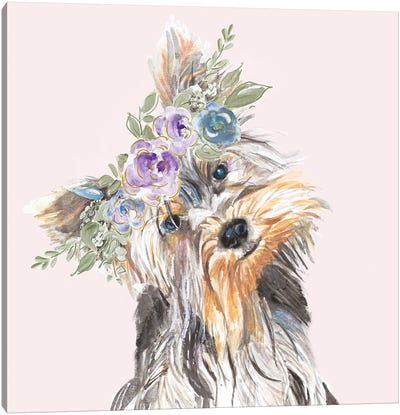 Flower Crown Pet II Canvas Art Print - Yorkshire Terrier Art