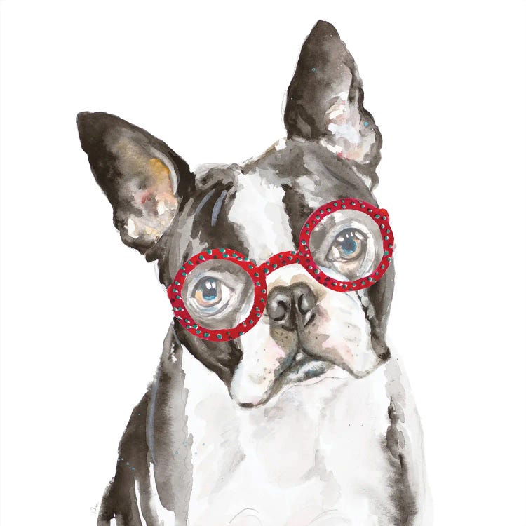 French Bulldog With Glasses