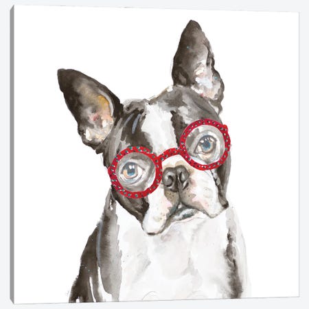 French Bulldog With Glasses Canvas Print #PPI959} by Patricia Pinto Canvas Art