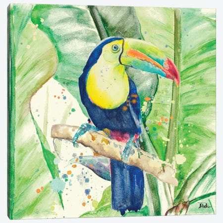 Colorful Toucan Canvas Print #PPI95} by Patricia Pinto Canvas Print