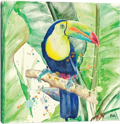 Colorful Toucan Canvas Art Print - Toucan Art