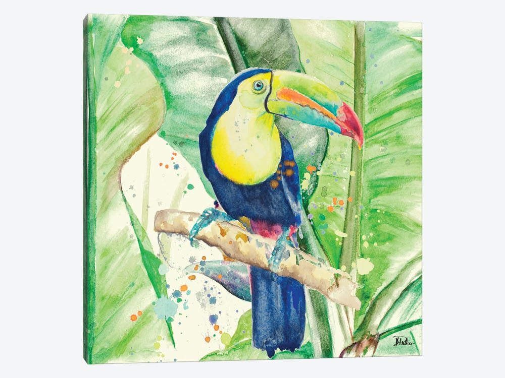 Colorful Toucan by Patricia Pinto 1-piece Canvas Artwork