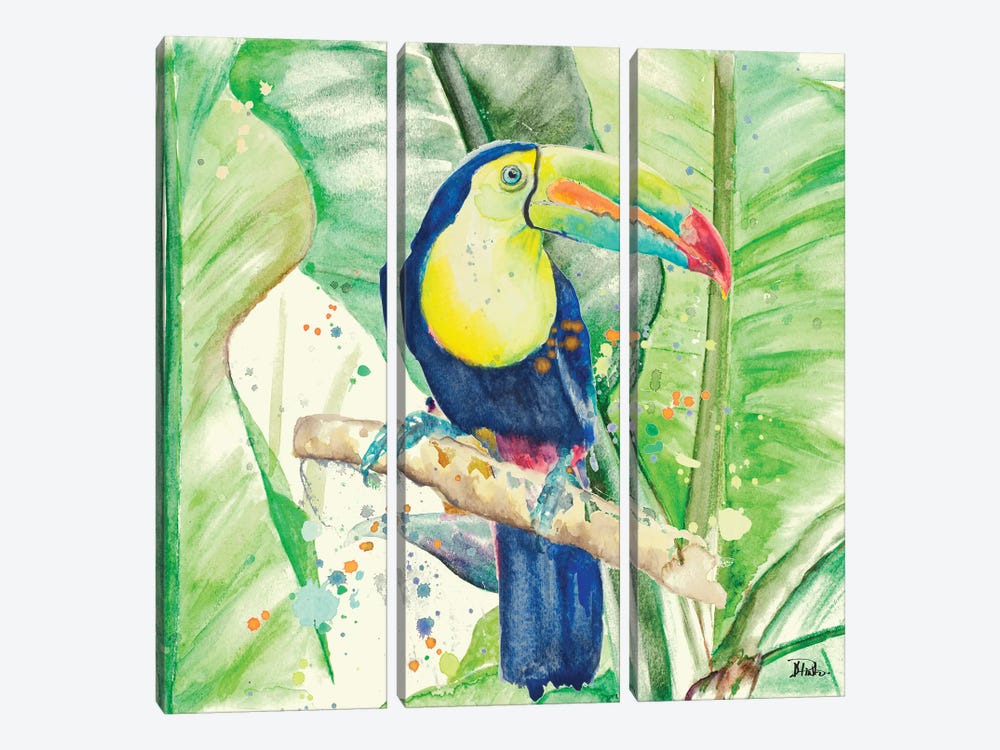 Colorful Toucan by Patricia Pinto 3-piece Canvas Art