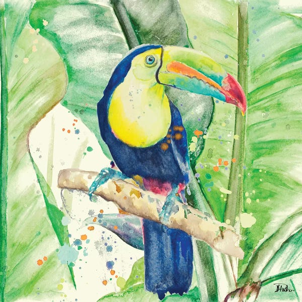 Patricia Pinto: Colorful Toucan by Patricia Pinto