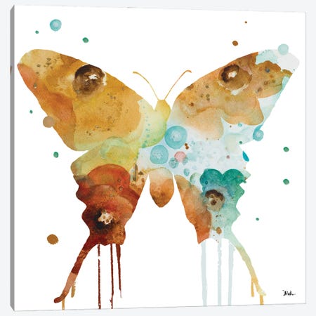 Mis Flores Butterfly II Canvas Print #PPI975} by Patricia Pinto Art Print