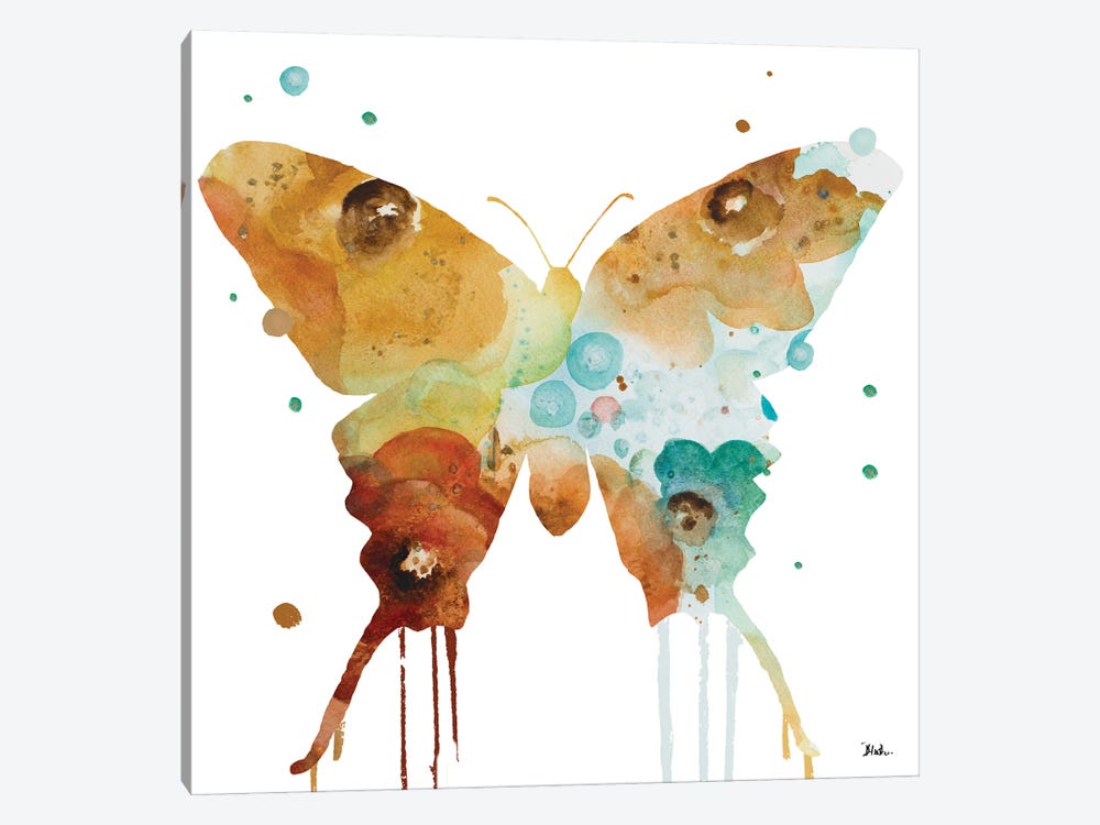 Mis Flores Butterfly II by Patricia Pinto 1-piece Canvas Art Print