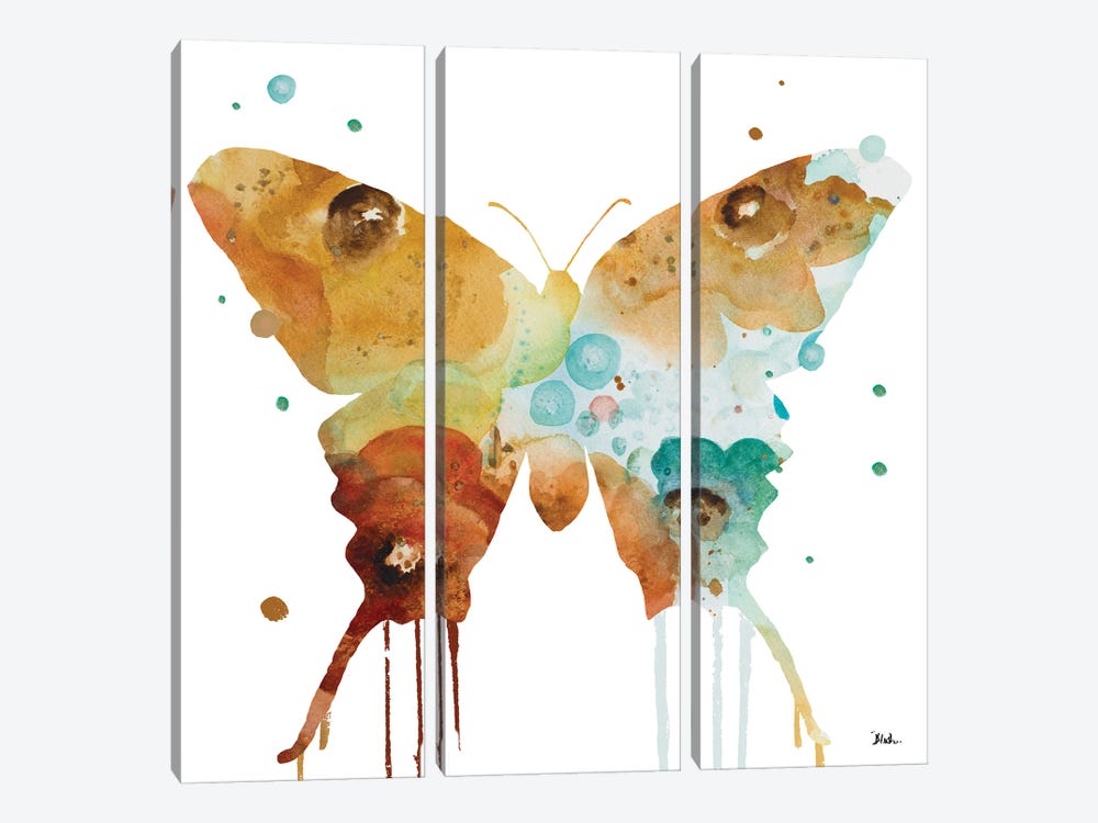 Mis Flores Butterfly II by Patricia Pinto 3-piece Canvas Art Print