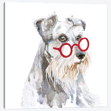 Schnauzer With Glasses Canvas Print #PPI990} by Patricia Pinto Canvas Art