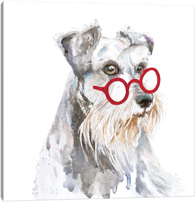 Schnauzer With Glasses Canvas Art Print - Office Humor