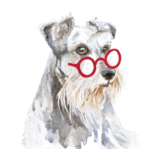 Patricia Pinto: Schnauzer With Glasses by Patricia Pinto