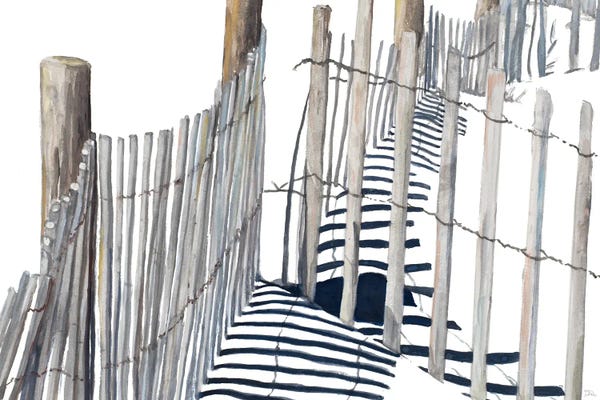 Coastal Sand Dunes: Shadows Of Paradise by Patricia Pinto