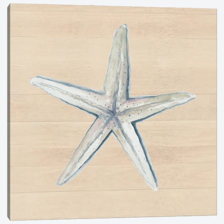 Starfish On Wood Background Canvas Print #PPI995} by Patricia Pinto Canvas Art Print