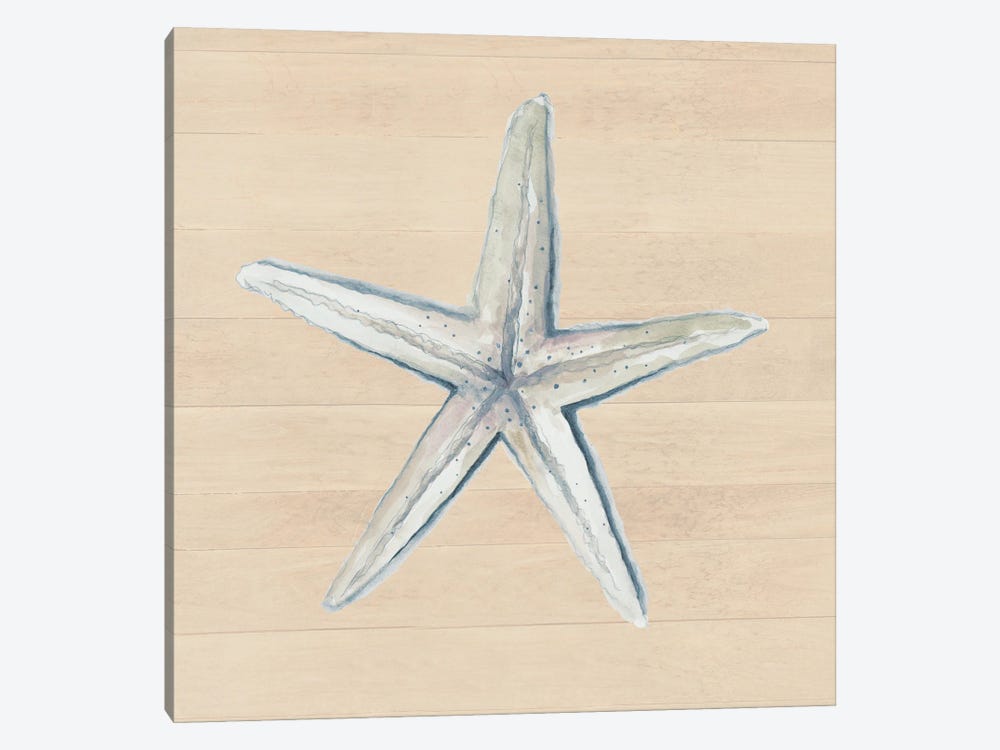 Starfish On Wood Background by Patricia Pinto 1-piece Canvas Print