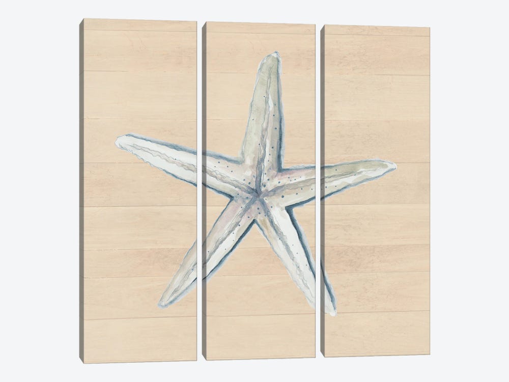 Starfish On Wood Background by Patricia Pinto 3-piece Art Print