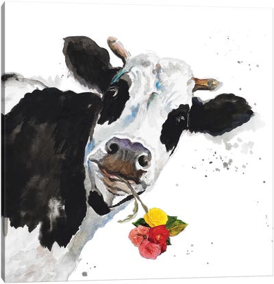 Crazy Cow Canvas Art Print - Humor Art