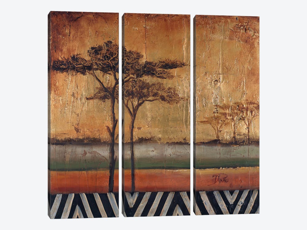 African Dream I by Patricia Pinto 3-piece Canvas Wall Art