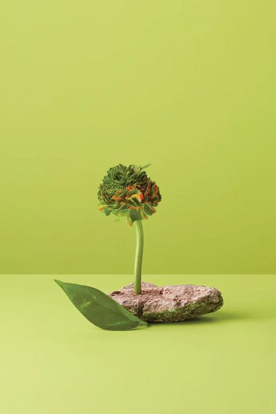 Col by Pepino de Mar multi panel art