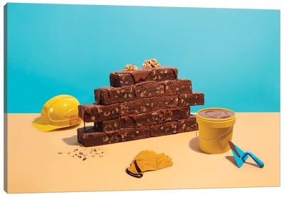 Brownie Under Construction Canvas Art Print - Pepino de Mar