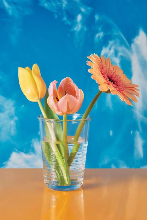 Spring In A Jar by Pepino de Mar wall art
