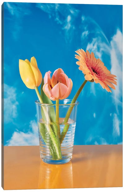 Spring In A Jar Canvas Art Print - Pepino de Mar