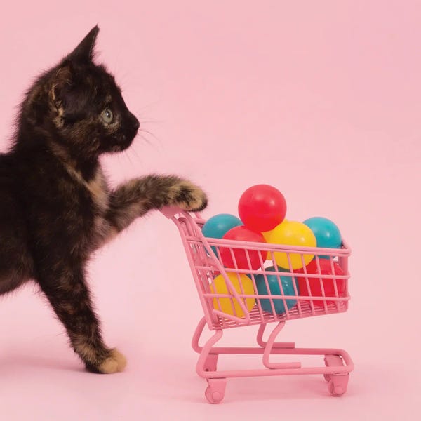Toys & Collectibles: Only The Essentials by Pepino de Mar