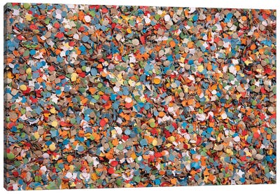 Confetti Background Canvas Art Print - Pepino de Mar