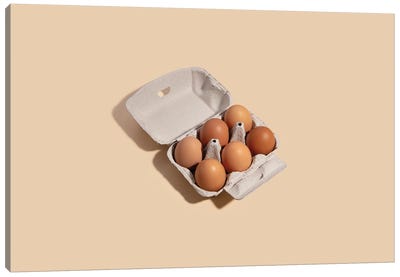 6 Eggs Canvas Art Print - Egg Art