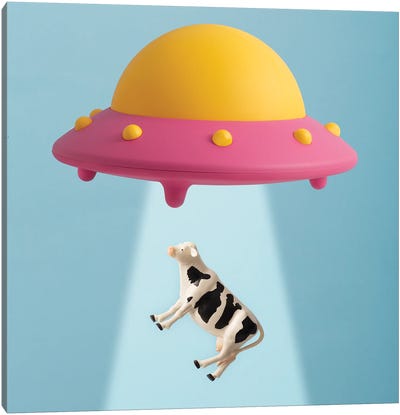 Abducted Cow Canvas Art Print - UFO Art