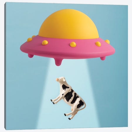 Abducted Cow Canvas Print #PPM1} by Pepino de Mar Canvas Print