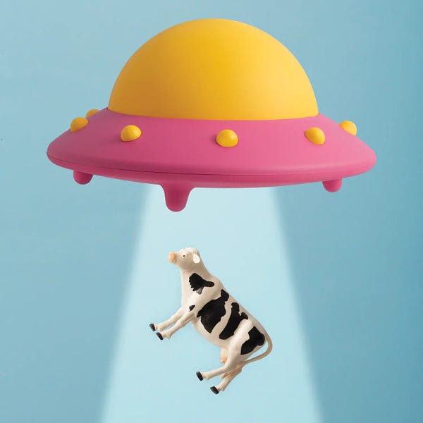 UFOs: Abducted Cow by Pepino de Mar