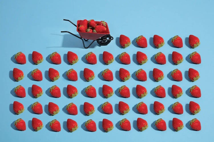 Strawberry Harvesting