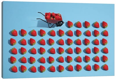 Strawberry Harvesting Canvas Art Print - Berry Art