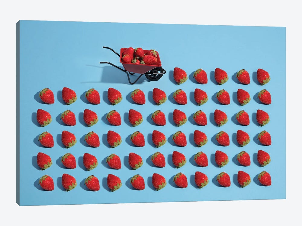 Strawberry Harvesting by Pepino de Mar 1-piece Canvas Wall Art